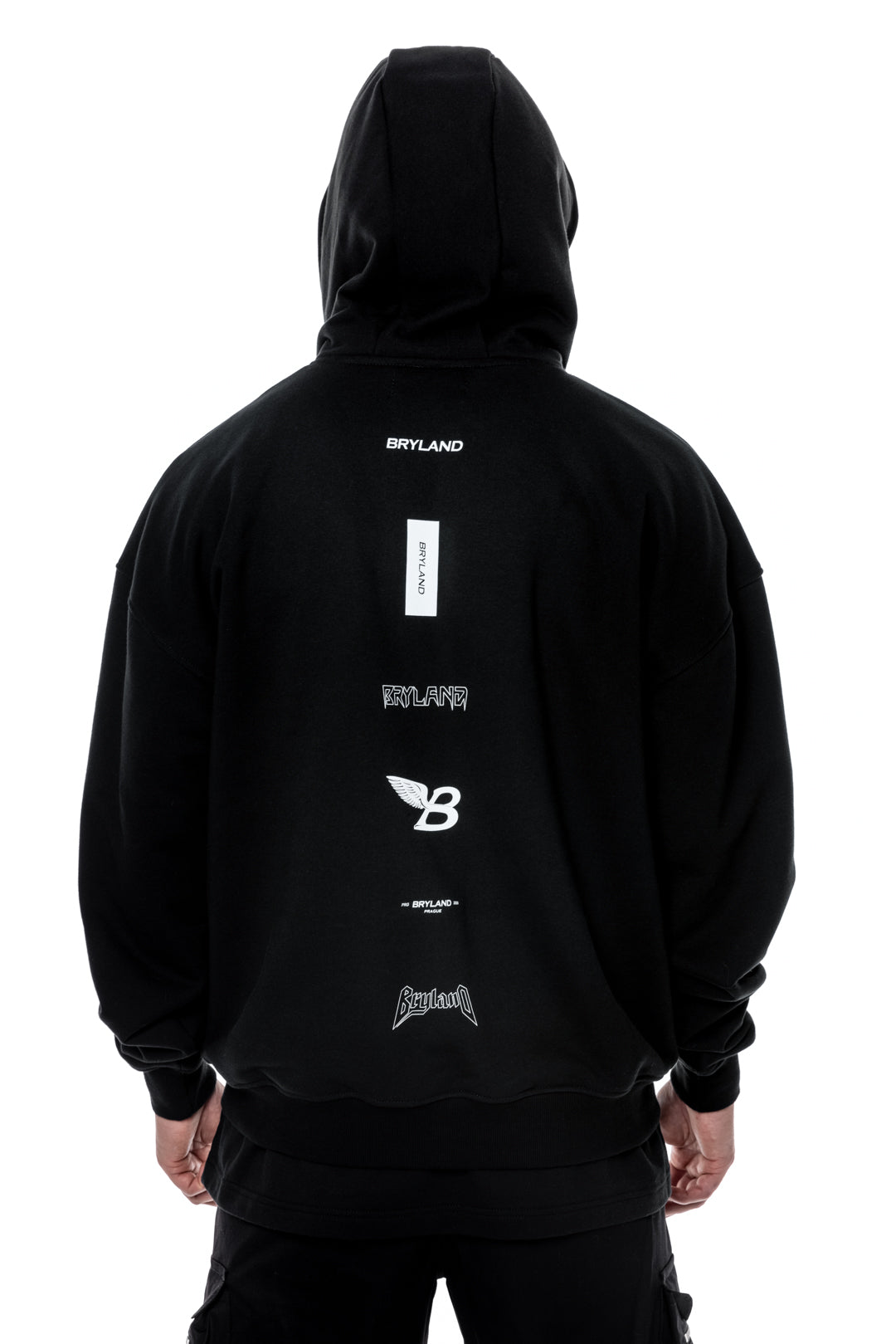 LOGOS HEAVYWEIGHT HOODIE